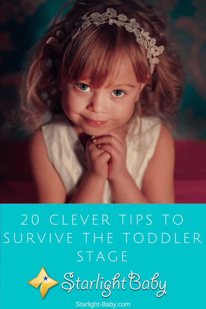 20 Clever Tips To Survive The Toddler Stage
