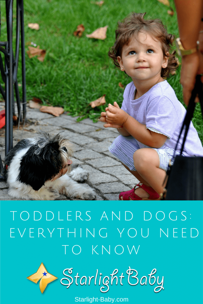 Toddlers And Dogs – Everything You Need To Know