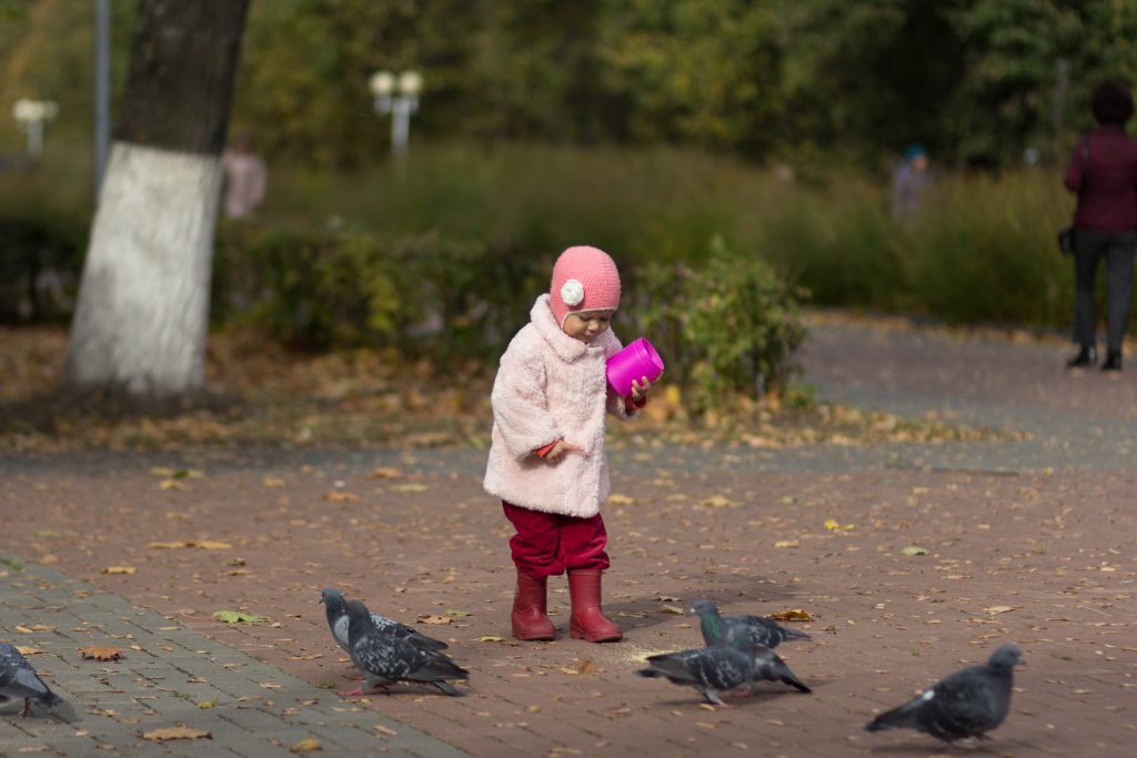 Little girl feeding pigeons in autumn park