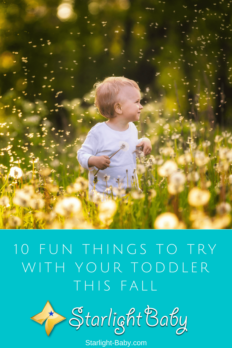 10 Fun Things To Try With Your Toddler This Fall