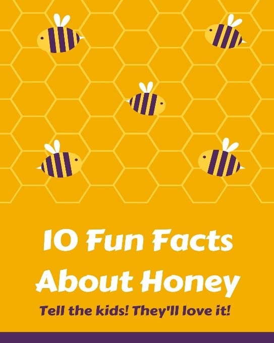 10 Fun Facts About Honey Tell The Kids They'll Love It