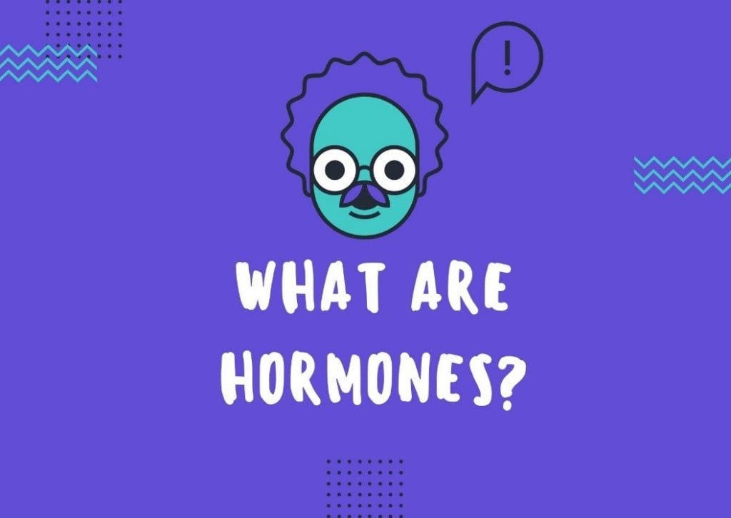 What Are Hormones